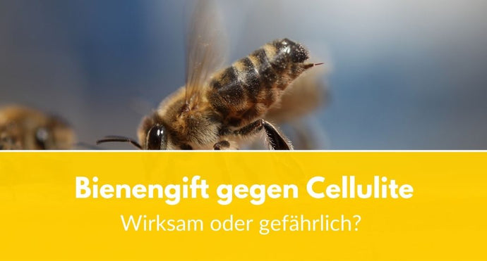Bienengift gegen Cellulite: Wirksam oder gefährlich?